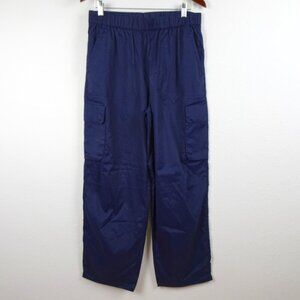 North Face Cargo Pants Women's Size L Blue Spring Peak Relaxed Fit